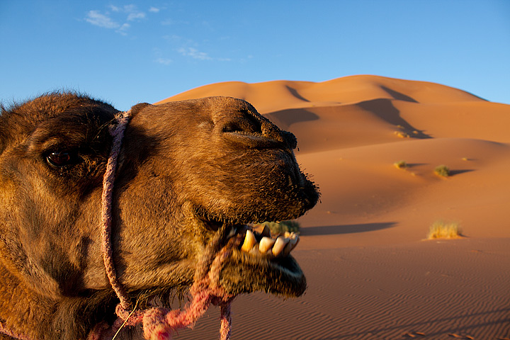 Benvenuti in Marocco :-)