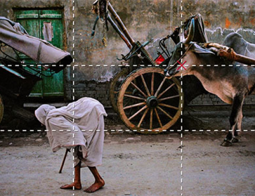 Come comporre una foto?  9 trucchi illustrati con le foto di Steve McCurry